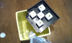 ハイポニカ 心知菜園 ブルーラグーン ハイポニカを充填