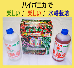 ハイポニカ500mL e-ショップ ブルーラグーン